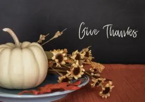 All Things Thanksgiving
