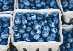 The Art of Mindful Eating: Slowing Down to Savor the Moment