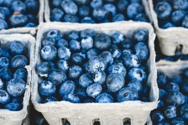 The Art of Mindful Eating: Slowing Down to Savor the Moment
