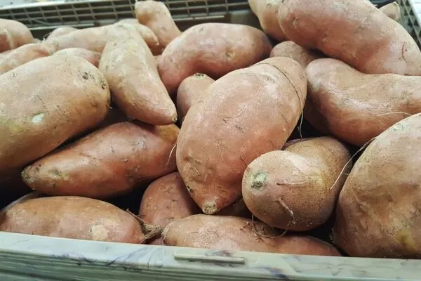 The Humble Sweet Potato