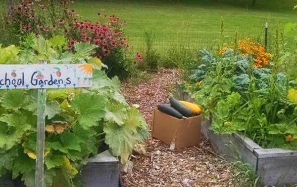 Growing Healthy Minds & Appetites: The Benefits of School Gardens and Kitchens