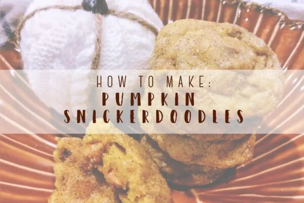 Cinnamon Chip Pumpkin Snickerdoodles: