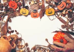 Fall Pumpkin and Corn Maze Festivals