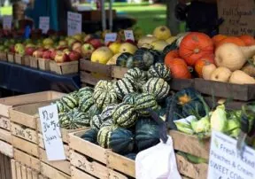 What’s in Season This October?