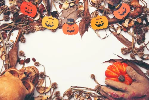 Fall Pumpkin and Corn Maze Festivals
