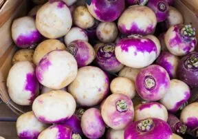 Turnips and Turnip Greens