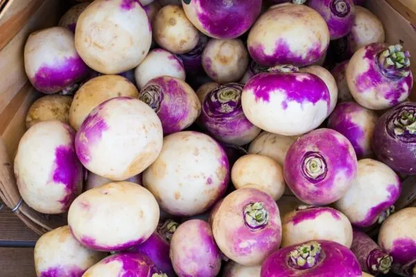 Turnips and Turnip Greens