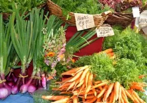 25 Really Fun Facts about Root Vegetables
