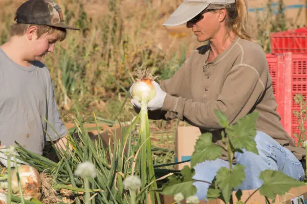 Arizona Farmers and Ranchers Do More With Less!