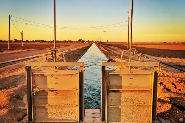 We All Need Water for Food and Drink!