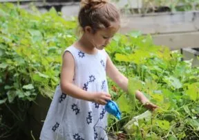 A Summer/Quarantine Activity: Planting A Vegetable Garden with Kids