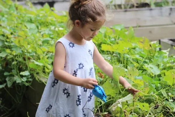 A Summer/Quarantine Activity: Planting A Vegetable Garden with Kids