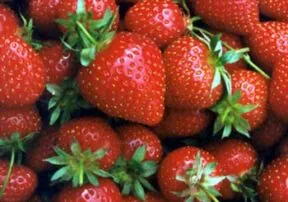 How to Make Jam for Beginners