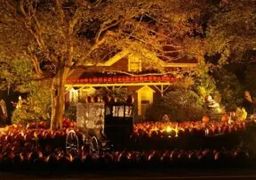 Fall Activities in Arizona