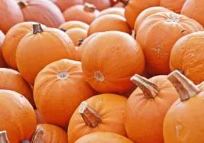 Arizona’s Fall Festivals