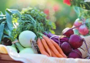 Beets Give You Needed Nutrients