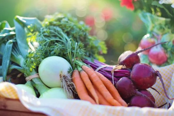 Beets Give You Needed Nutrients
