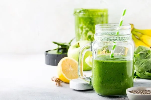 Nutritious Protein Shakes to Fuel Your Day