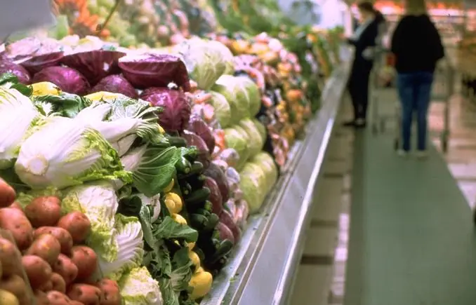 Yuma Farmers Daily Supply 130 Million Servings of Leafy Greens