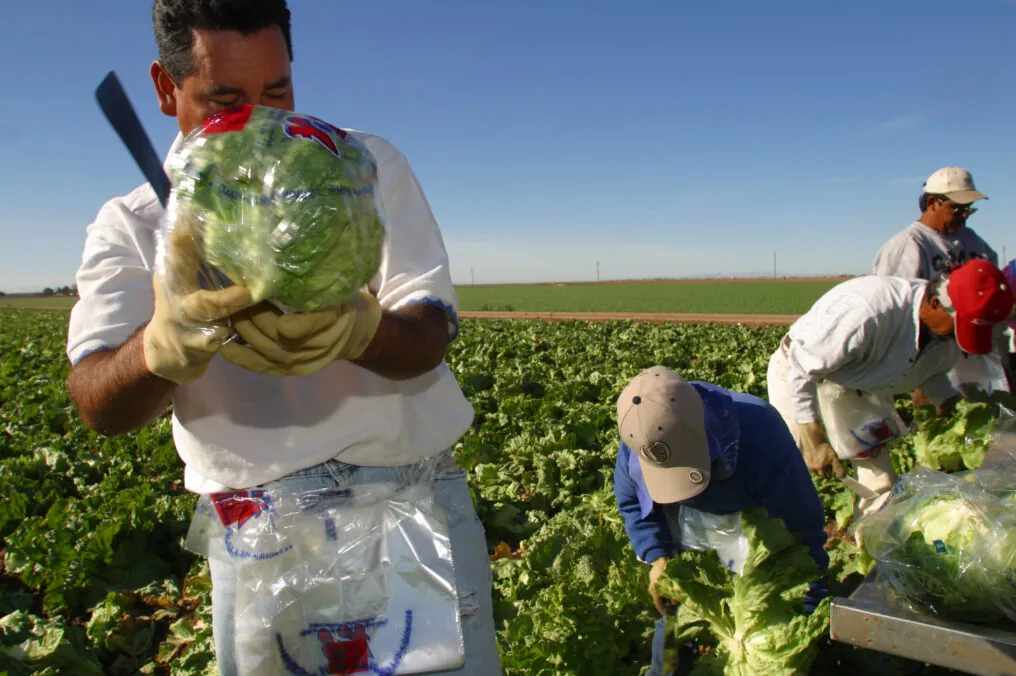 Arizona Works to Get More Crop Per Drop and Conserve Our Water