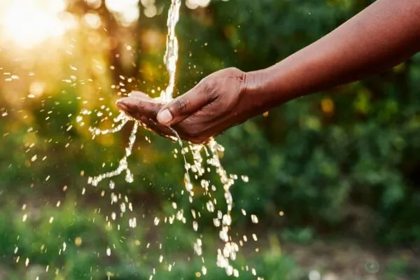 Fill Your Plate’s Collection of Articles on Water