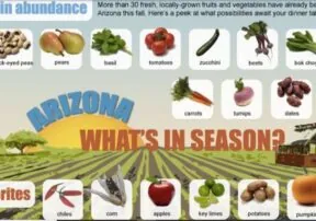What’s In Season In October?