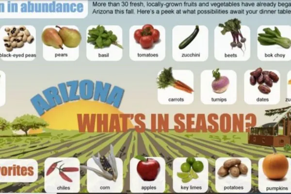 What’s In Season In October?