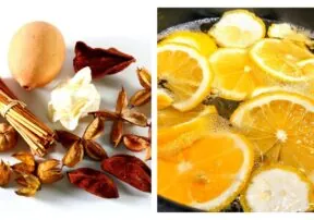 Potpourri Recipe to Make Your House Smell Like Fall!