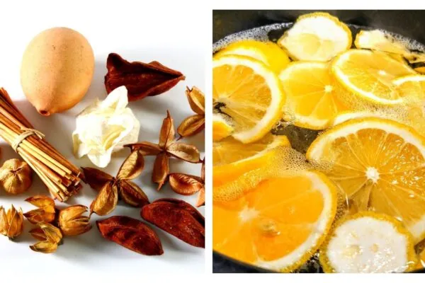 Potpourri Recipe to Make Your House Smell Like Fall!