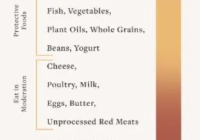 What A Heart Healthy Diet Is and Why You Should Start It Now