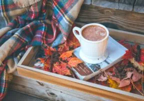 Perk Energy and Perk Chill: Great Coffee or Hot Cocoa Alternatives