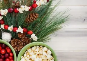 How To Make A Popcorn Cranberry Garland