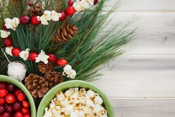 How To Make A Popcorn Cranberry Garland