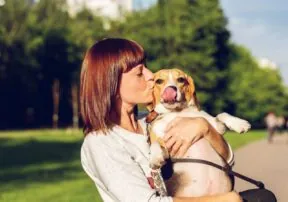 Recipes You Can Enjoy With Your Dog