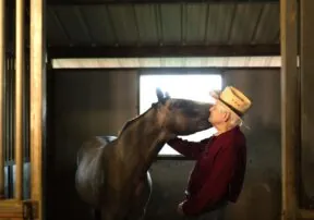 Recipes You Can Enjoy With Your Horse