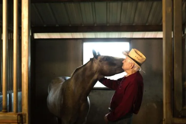Recipes You Can Enjoy With Your Horse