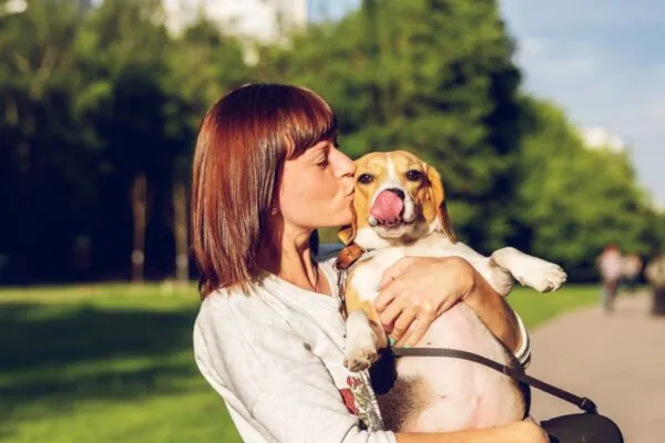 Recipes You Can Enjoy With Your Dog