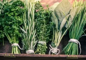 5 Common Herbs with Big Health Benefits