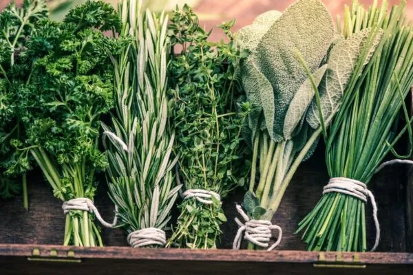 5 Common Herbs with Big Health Benefits