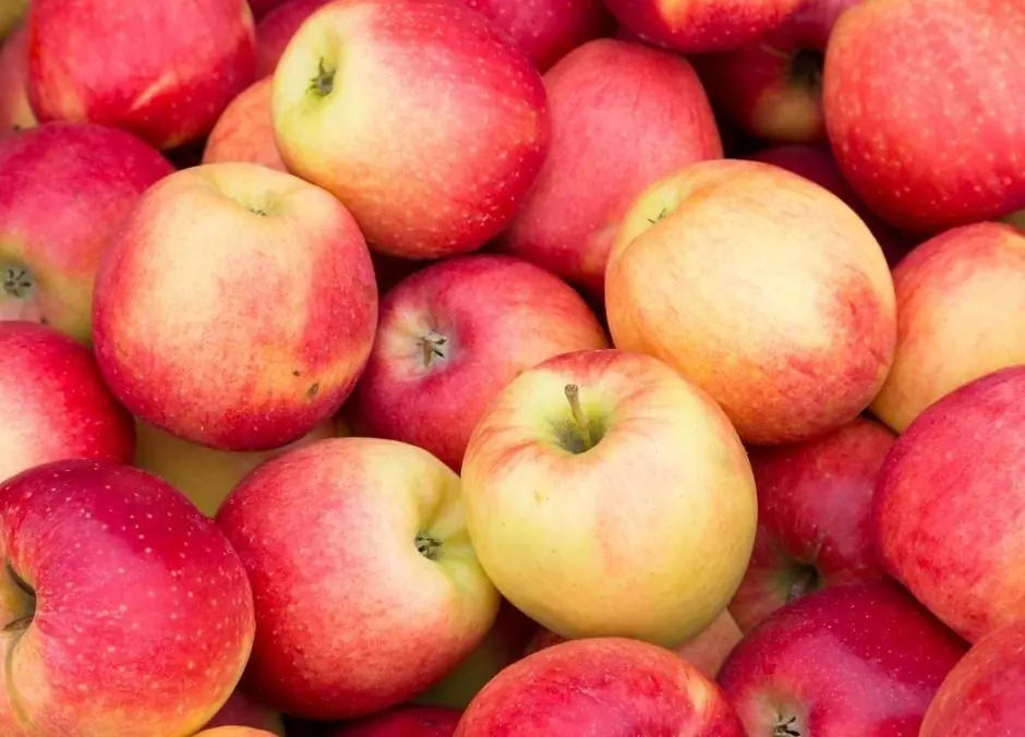 Apples are more efficient than caffeine