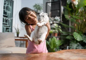 The Awe of Animals