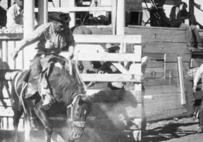Horses and History: The Connection Between Rodeo and Ranching