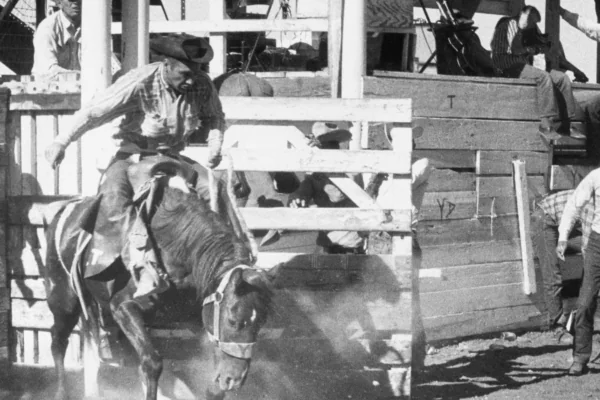 Horses and History: The Connection Between Rodeo and Ranching