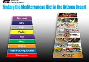 Mediterranean Diet May Lower Frailty Risk: Study