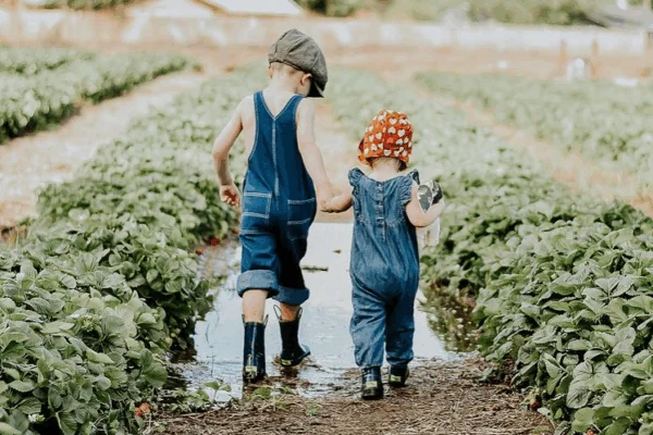 Summer Staples: Farm Fresh Melons, Corn, and More are Finally Here!