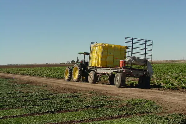 Conventional and Organic Farming: Both Are Important