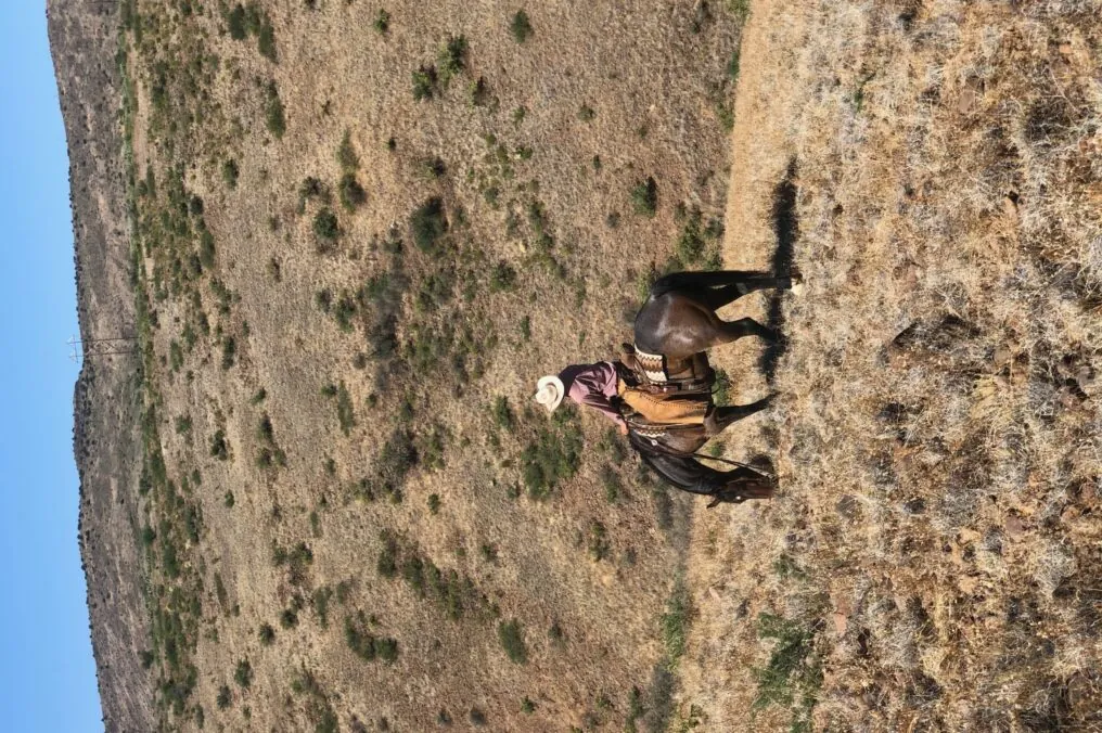 Nearly All Arizona Farms and Ranches are Family Owned.