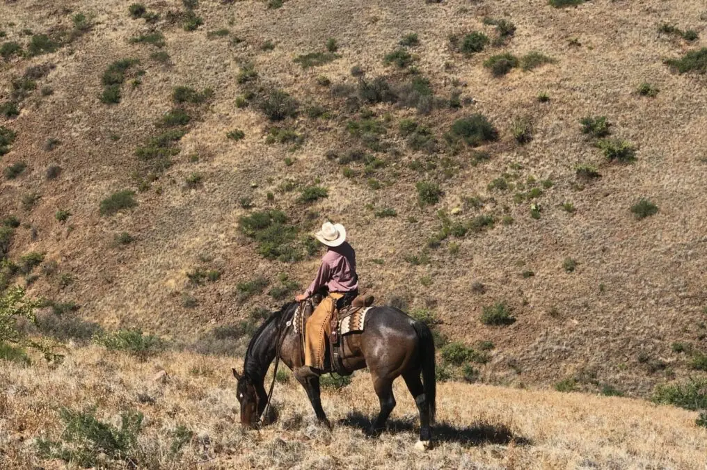 Nearly All Arizona Farms and Ranches are Family Owned.
