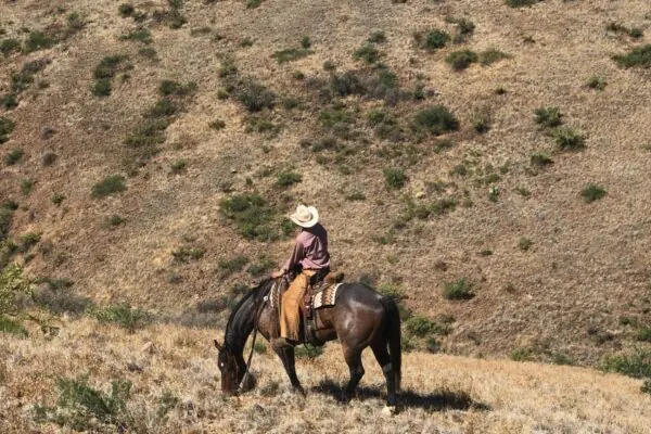 Nearly All Arizona Farms and Ranches are Family Owned.
