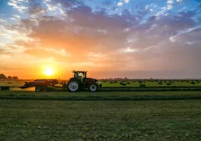 Learn About Arizona Agriculture this Summer!